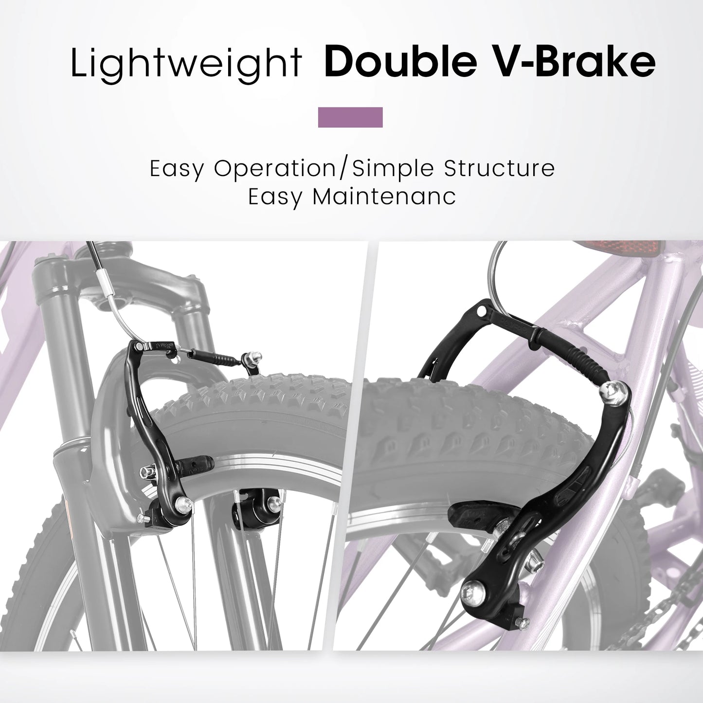 Ecarpat Womens Mountain Bike 21 Speed Steel Frame V Brake