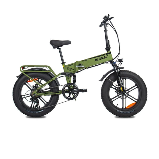 HedaTX PX6 750W 48V 13Ah Fat Tire Electric Mountain Bike